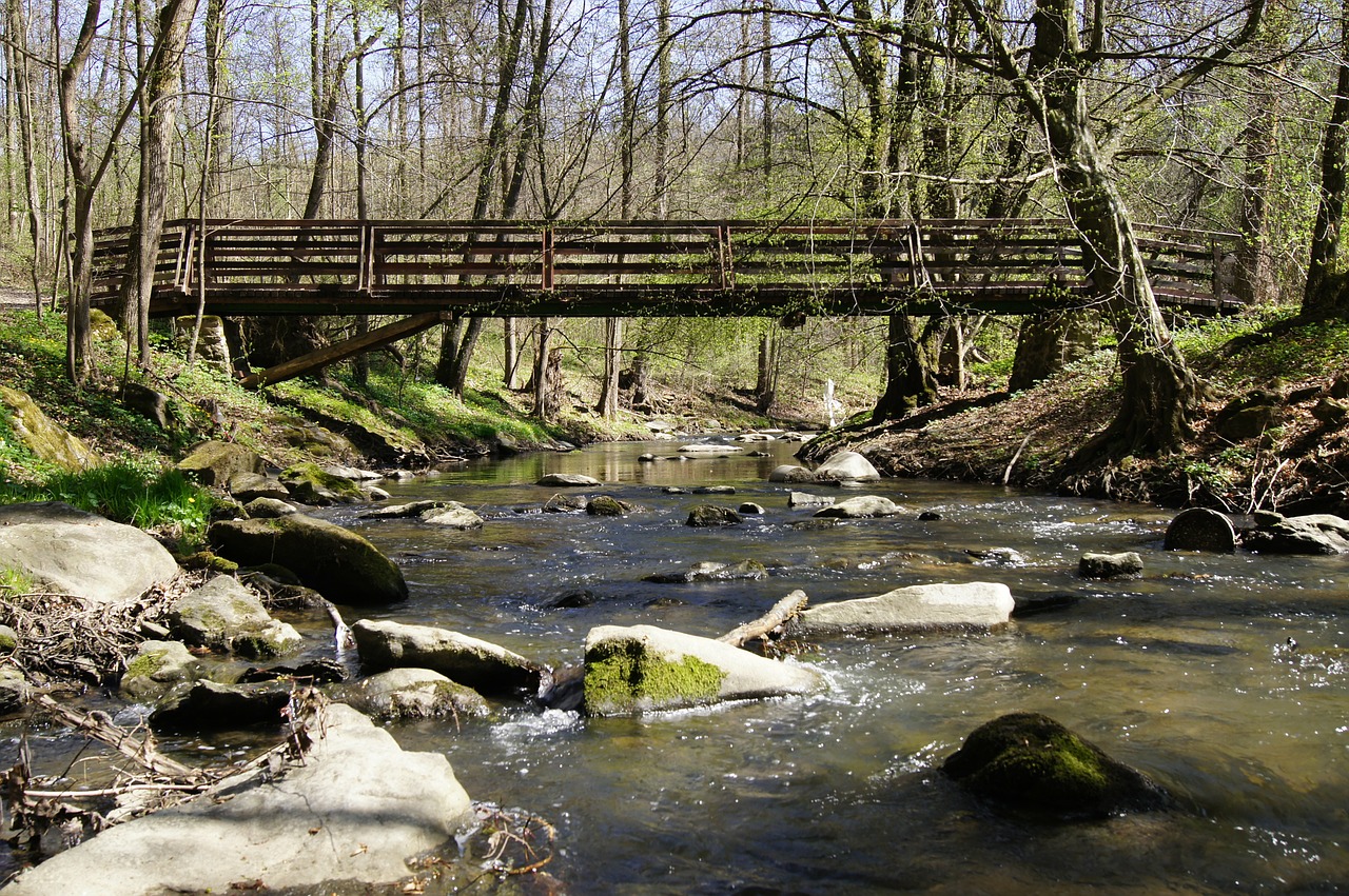 bridge river stones free photo