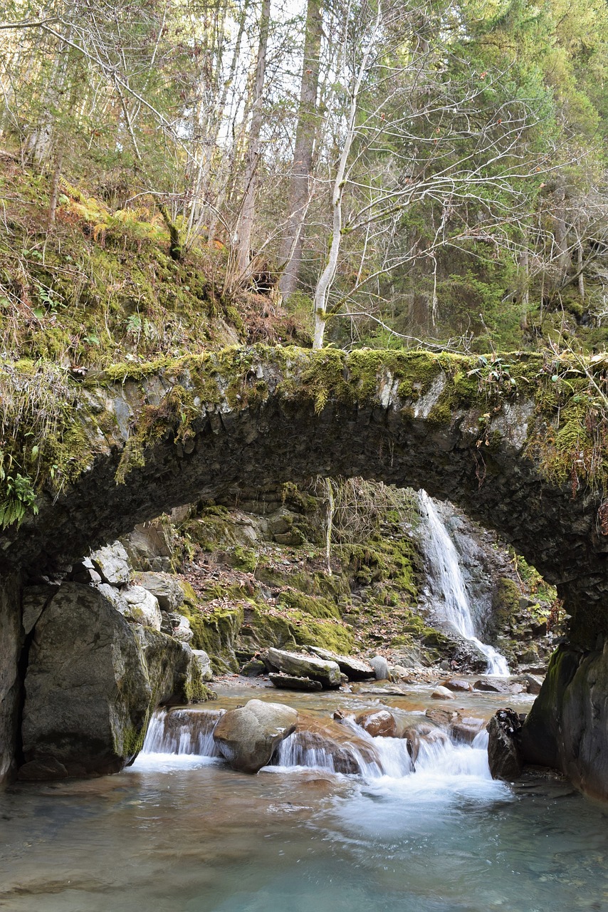 bridge nature passage free photo