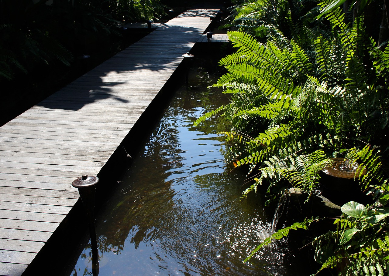 bridge walkway nature free photo