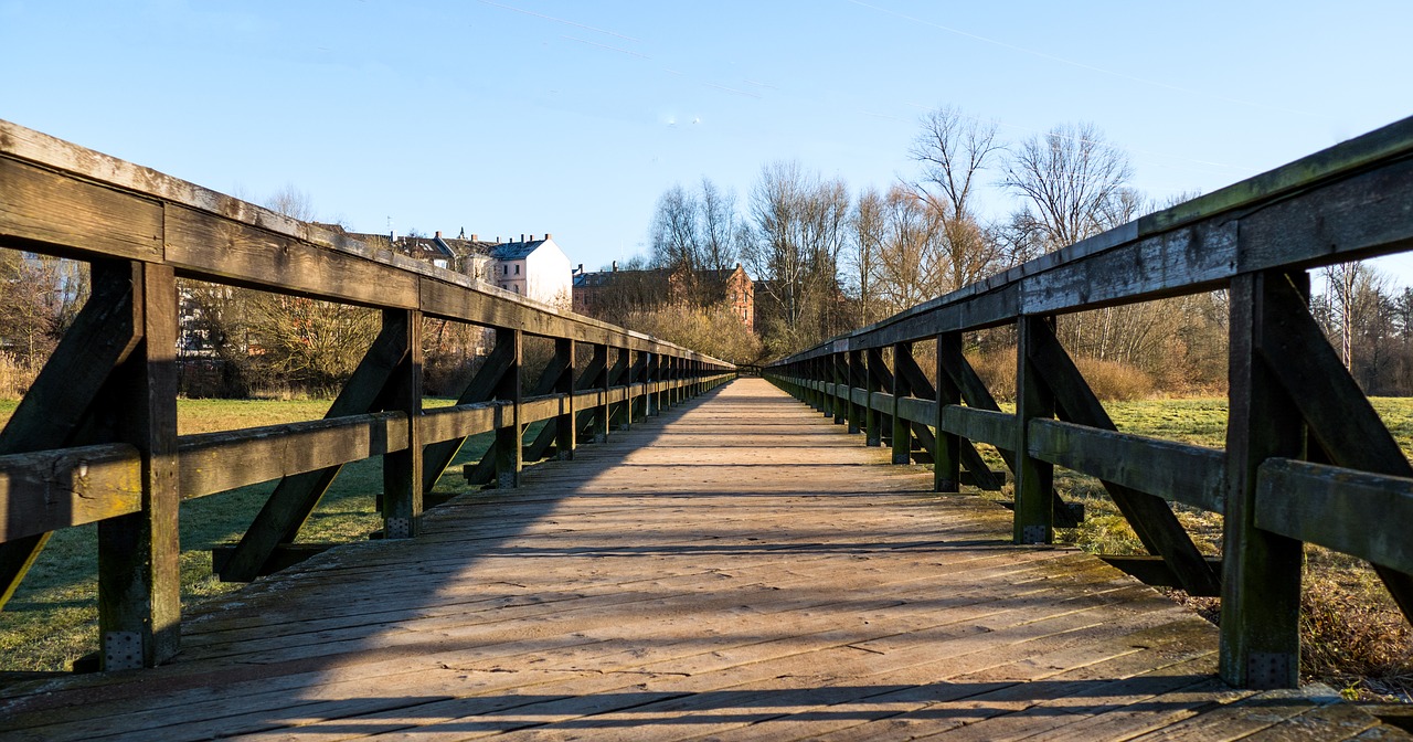 bridge web autumn free photo