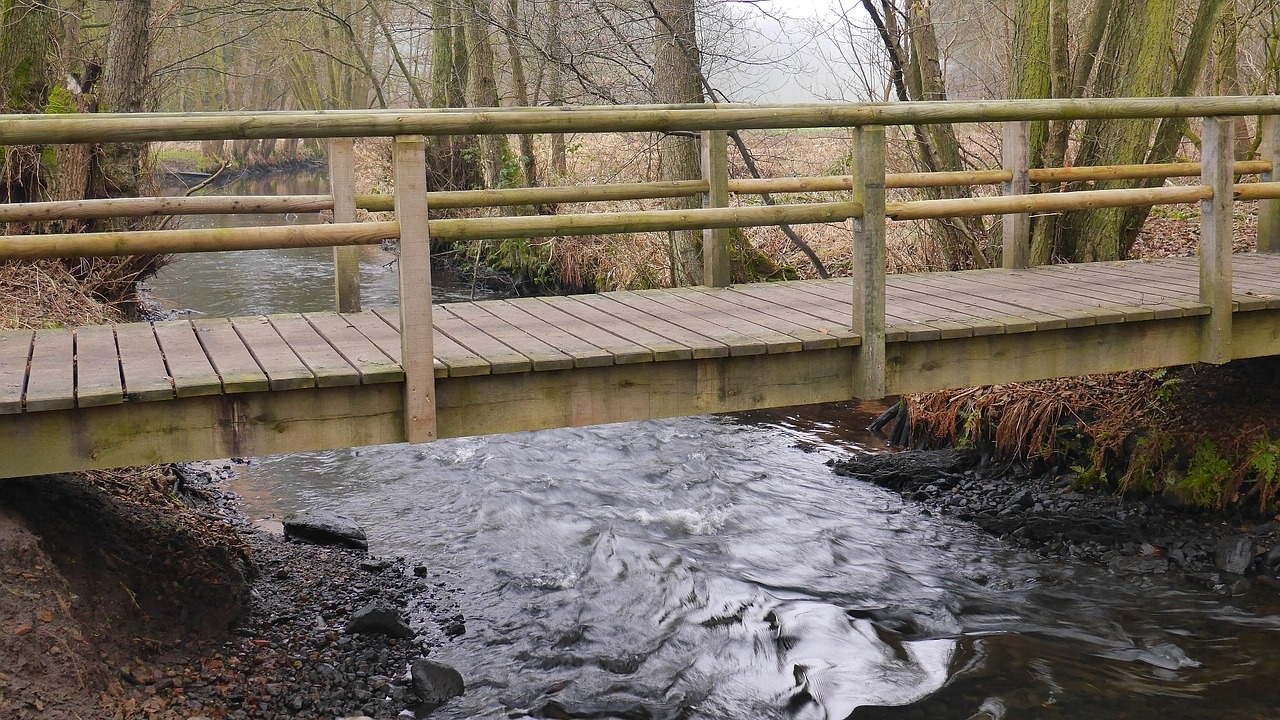 bridge river nature free photo