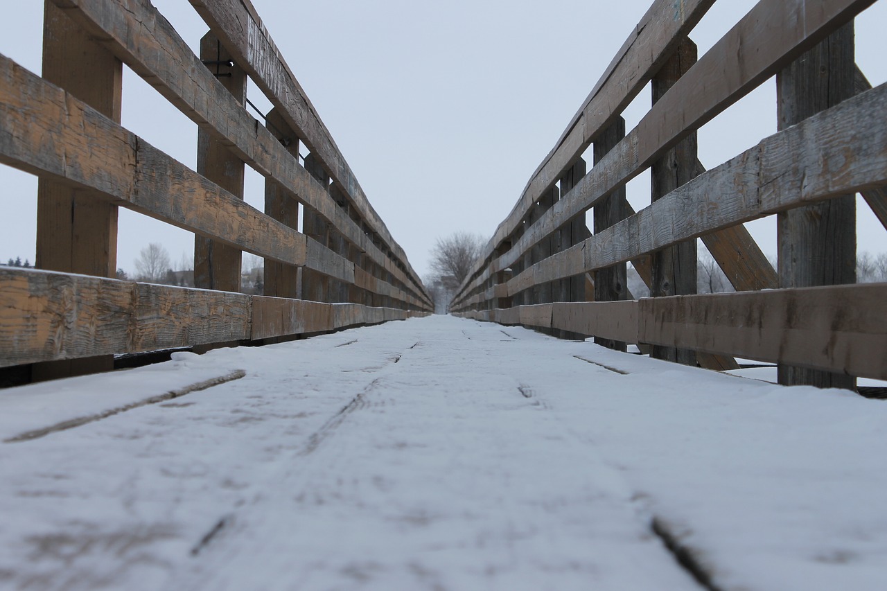 bridge narrow river free photo