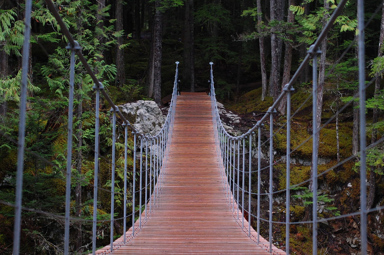 bridge hike cool free photo