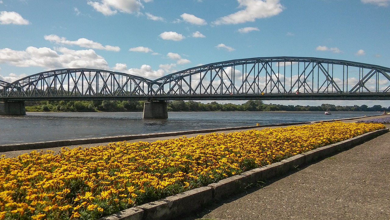 bridge river water free photo