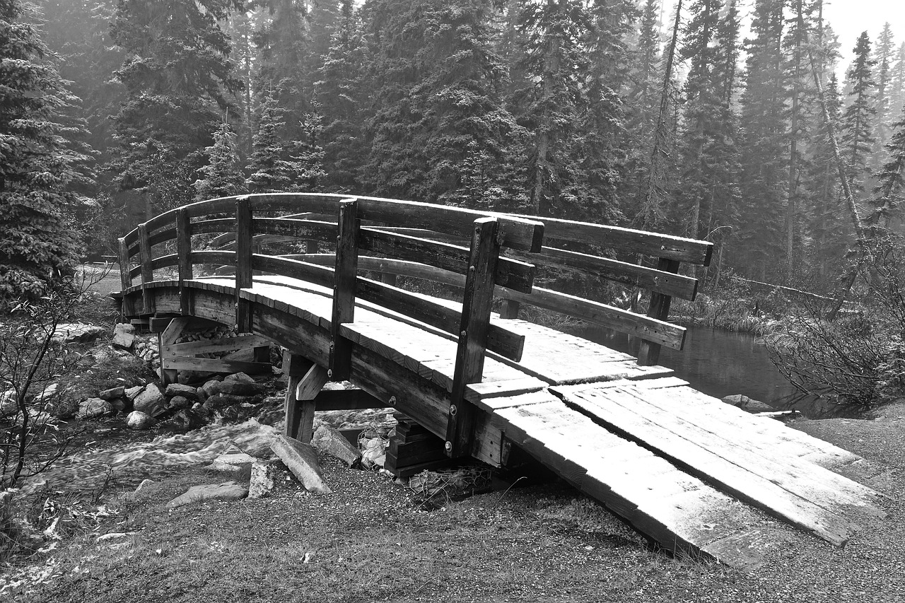 bridge crossing snow free photo