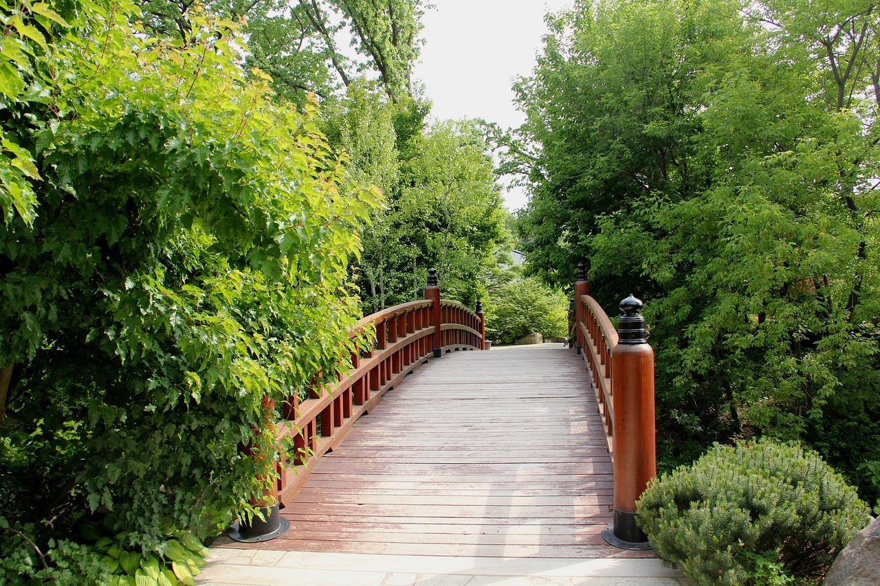 bridge water landscape free photo