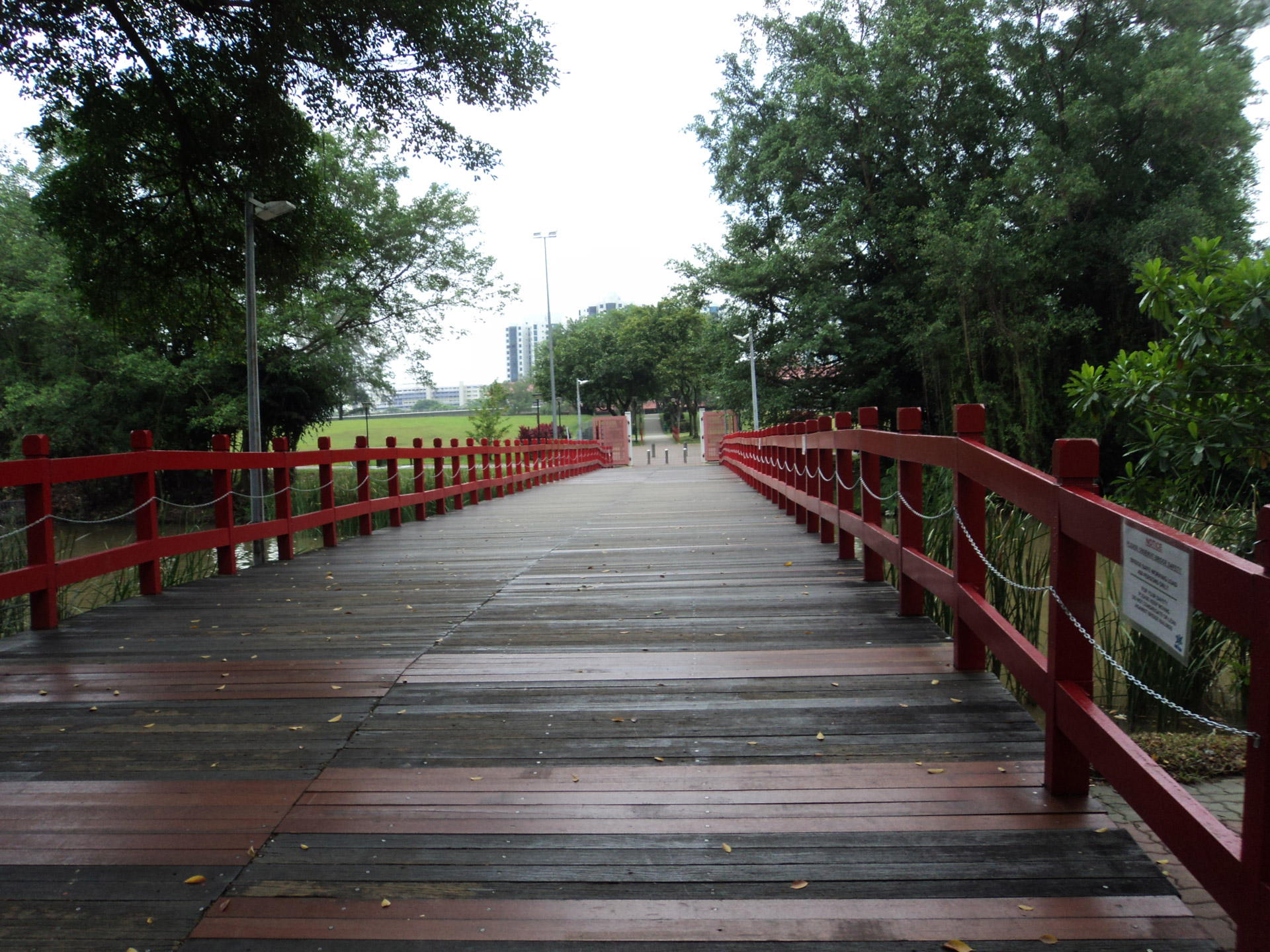 bridge nature place free photo