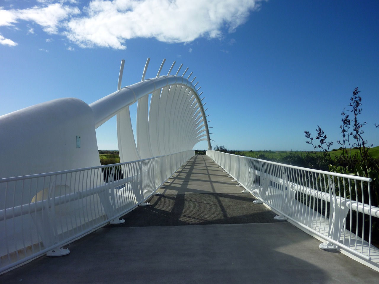 bridge shell architecture free photo