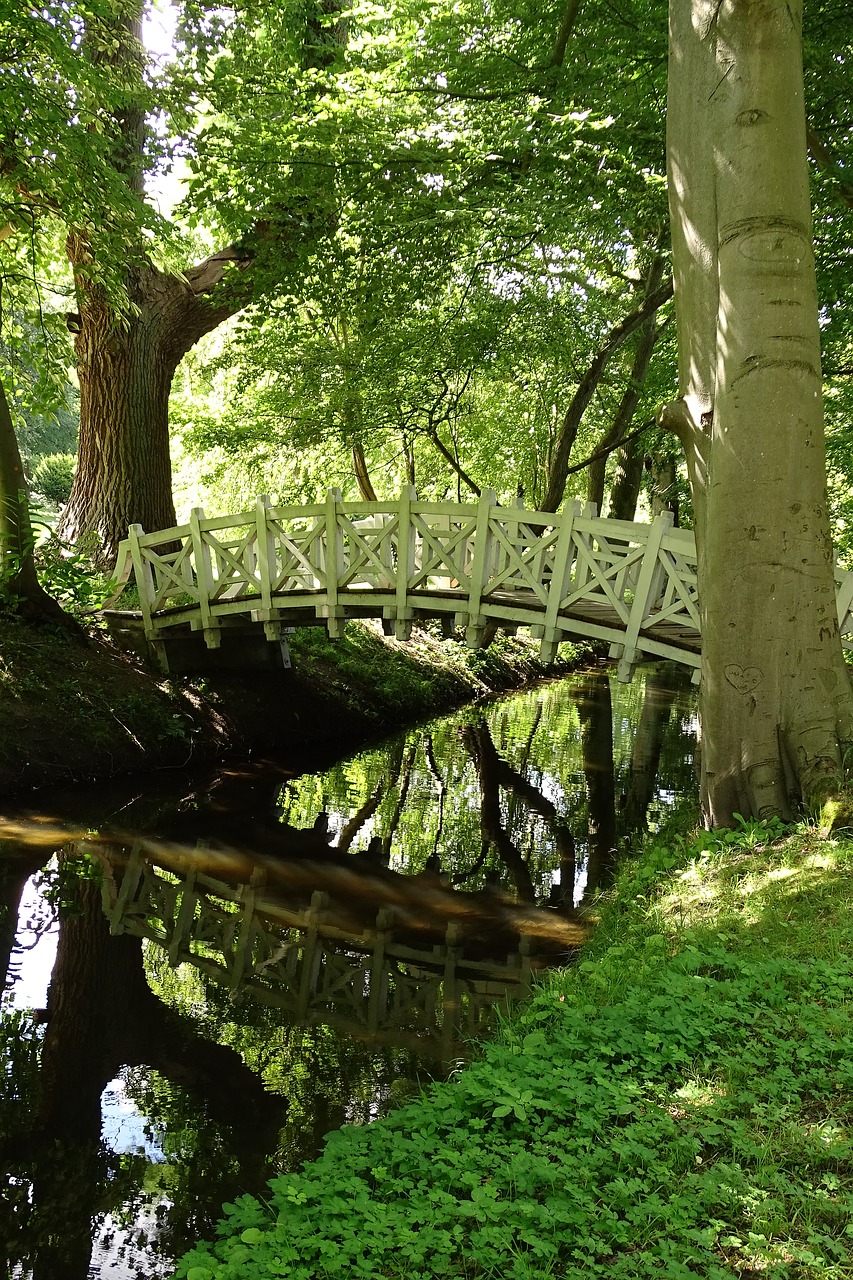 bridge forest nature free photo