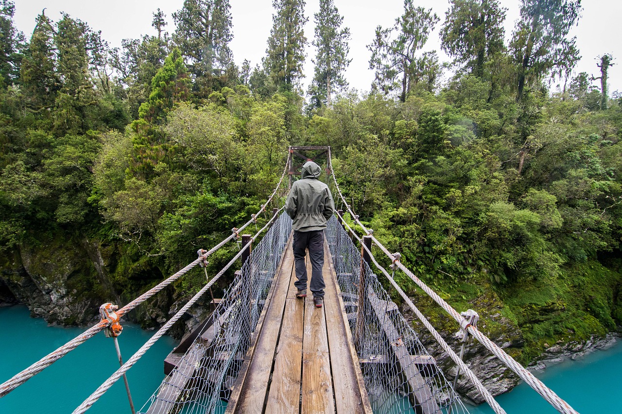 bridge trekking new zealand free photo