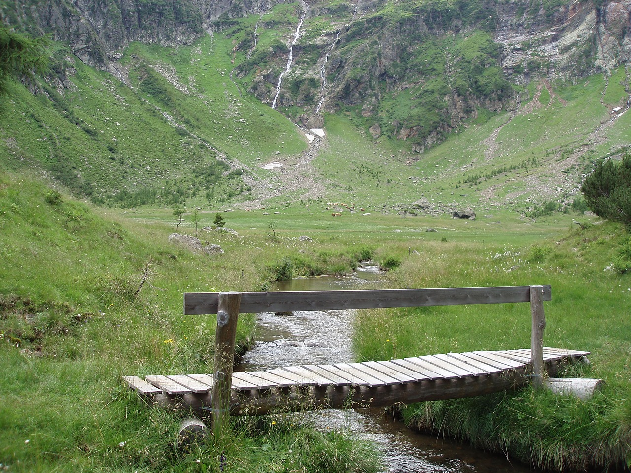 bridge hiking mountain stream free photo