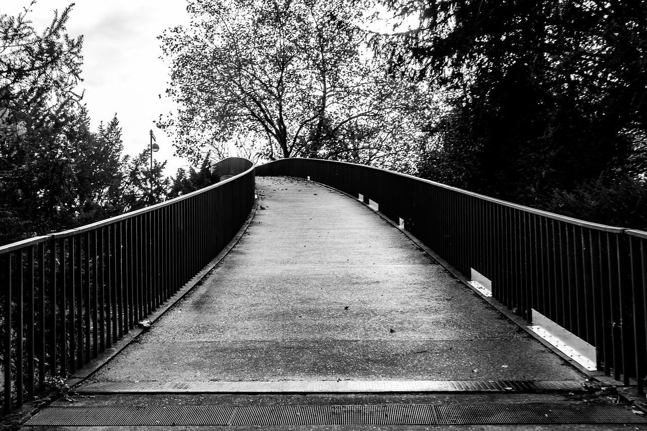 bridge black and white black white free photo