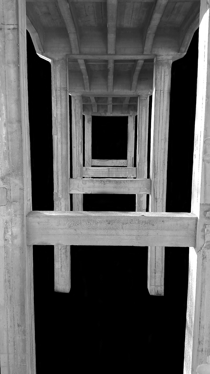 bridge black and white architecture free photo