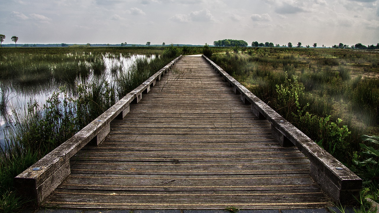 bridge wood landscape free photo