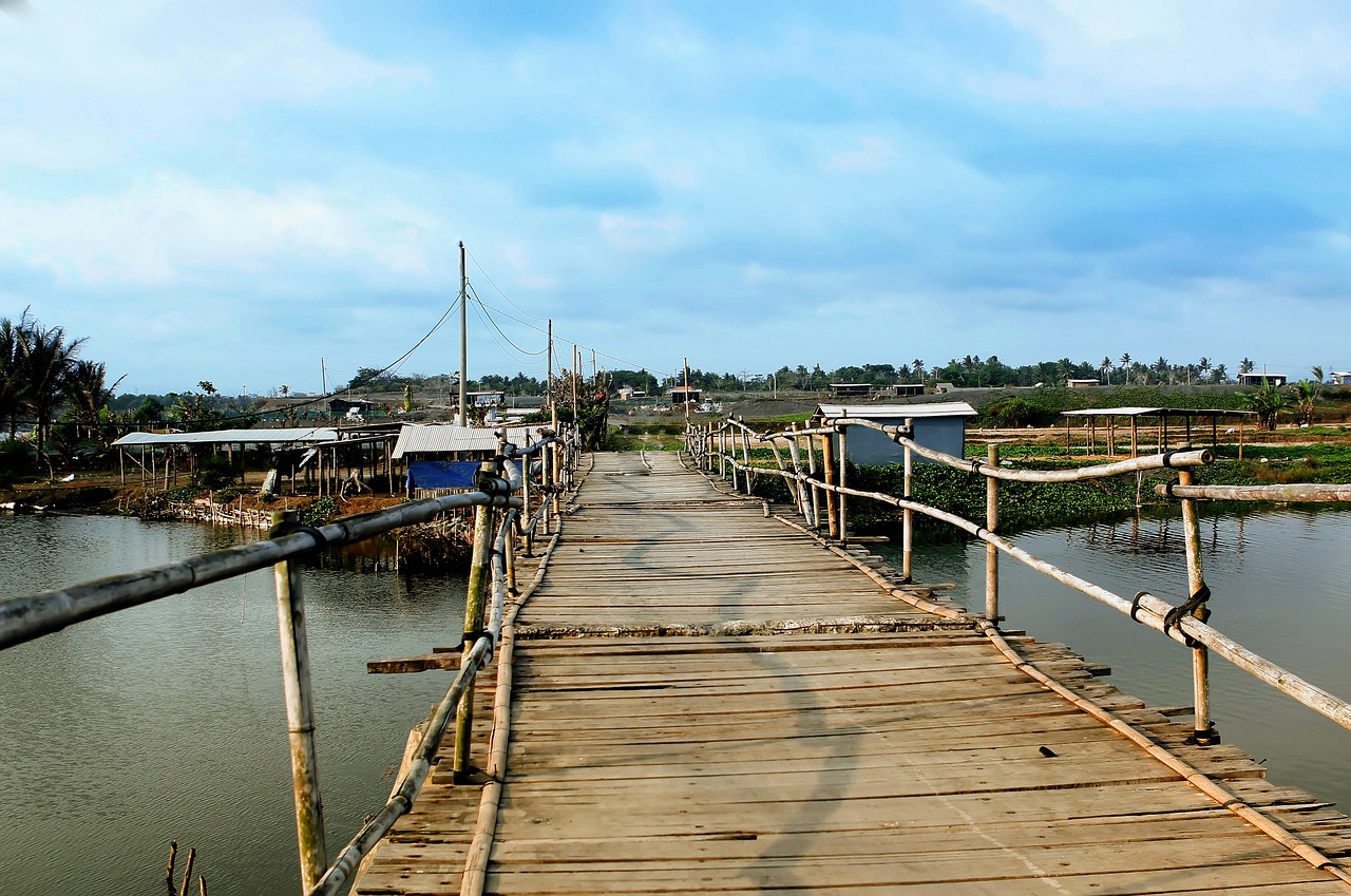 bridge bamboo tour free photo