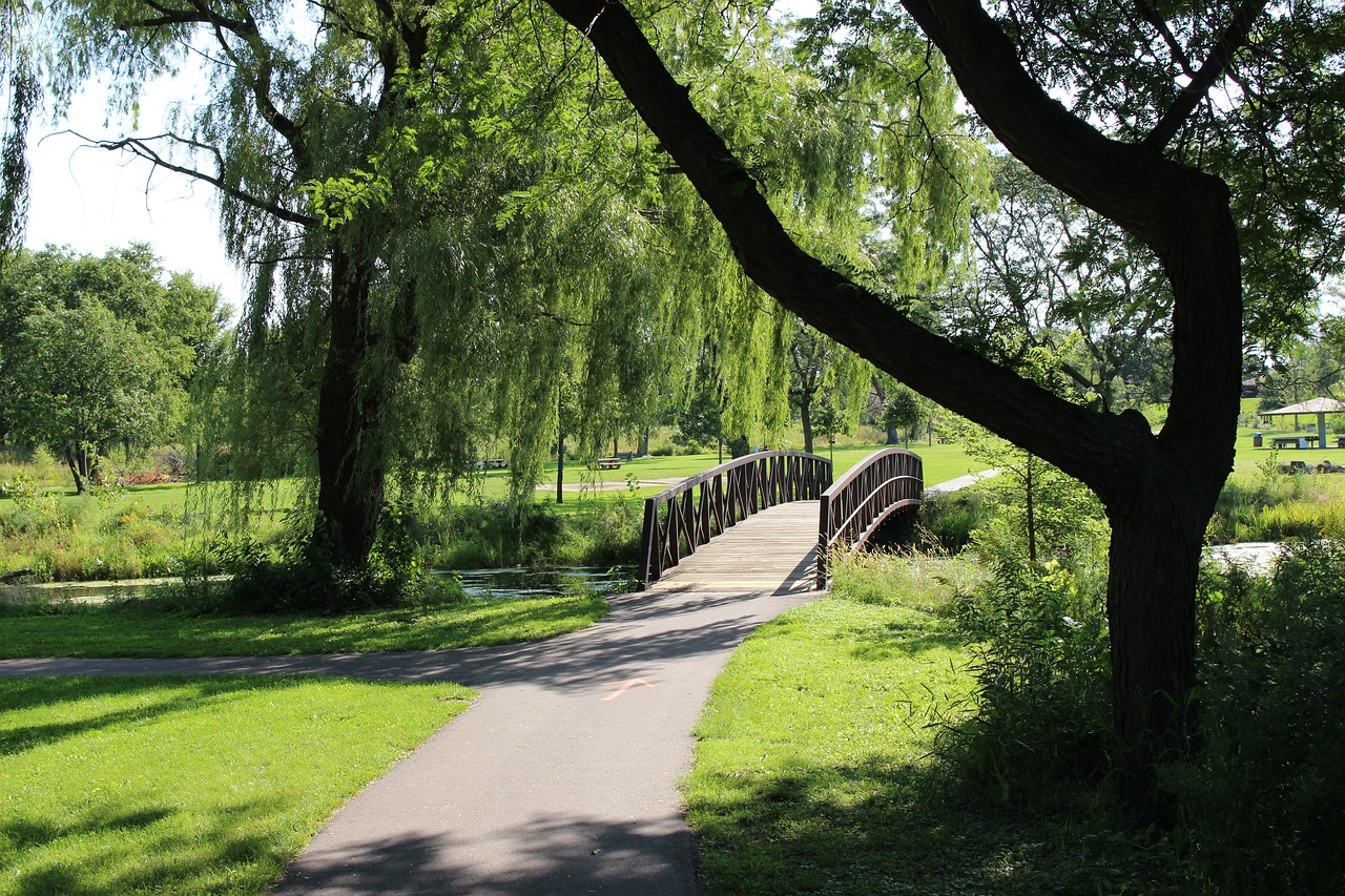 bridge landscape nature free photo