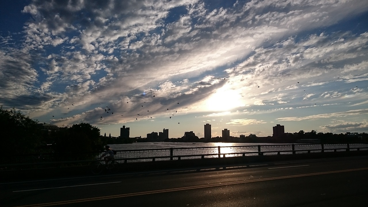 bridge birds skyline free photo