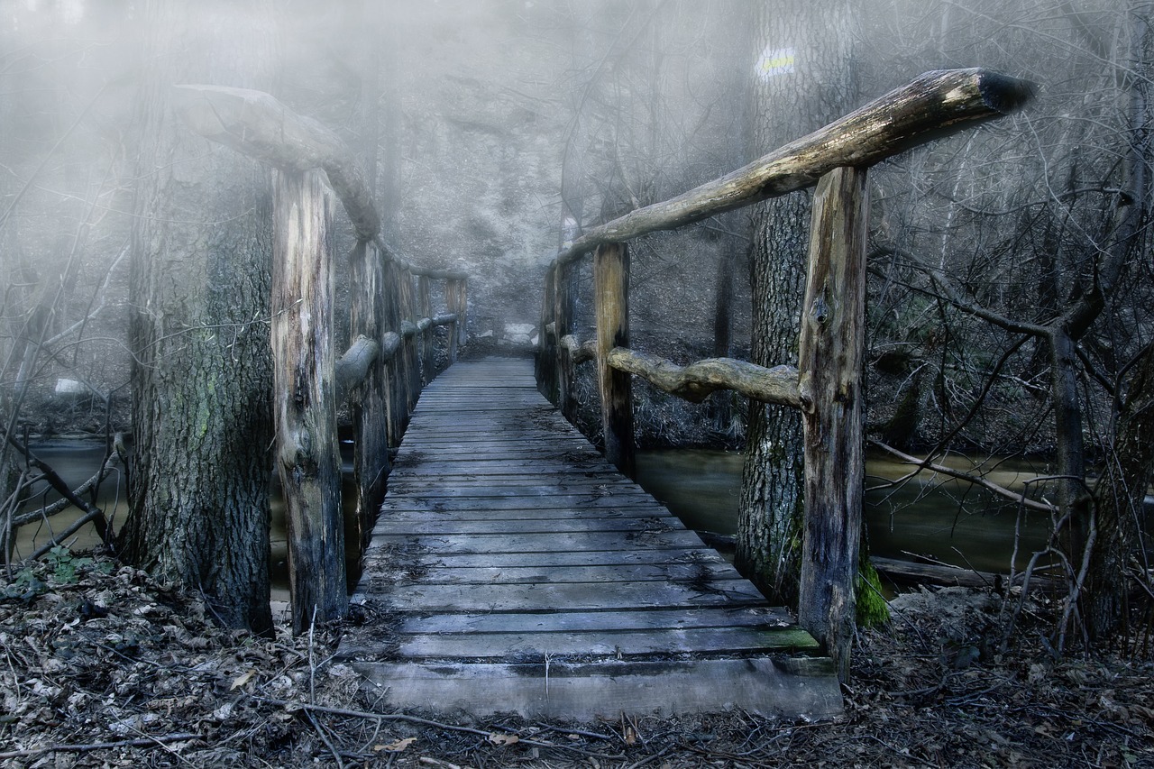 bridge wooden bridge color free photo