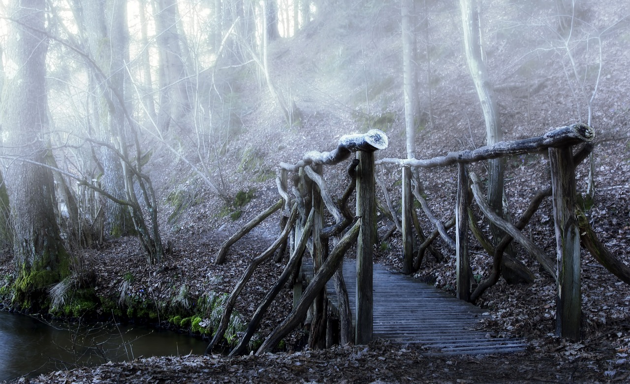 bridge color the fog free photo