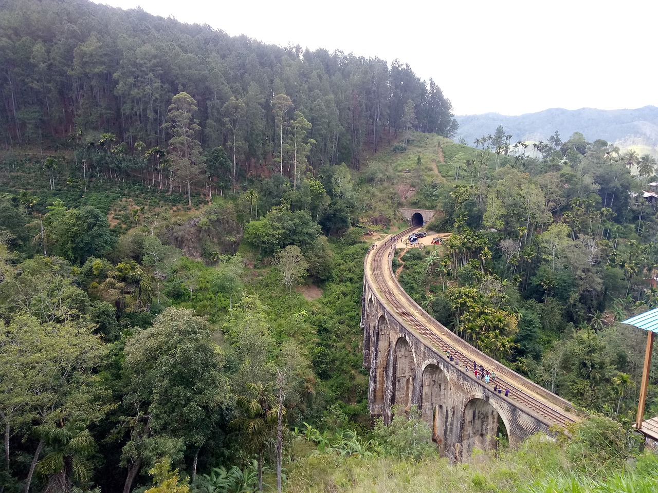 bridge sri lanka nature free photo