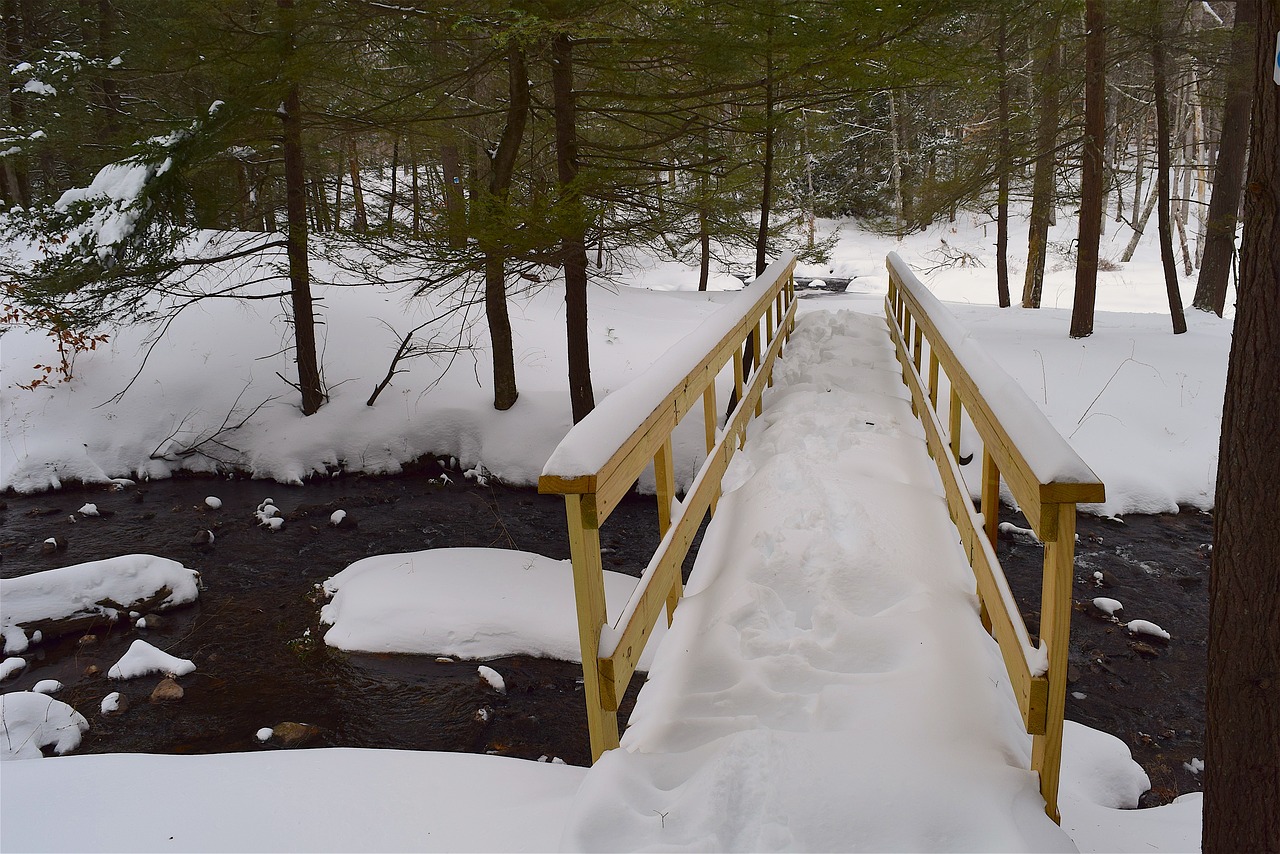 bridge snow forest free photo