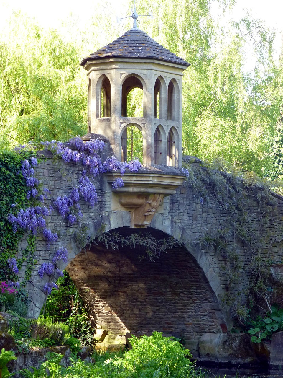 bridge garden wisteria free photo