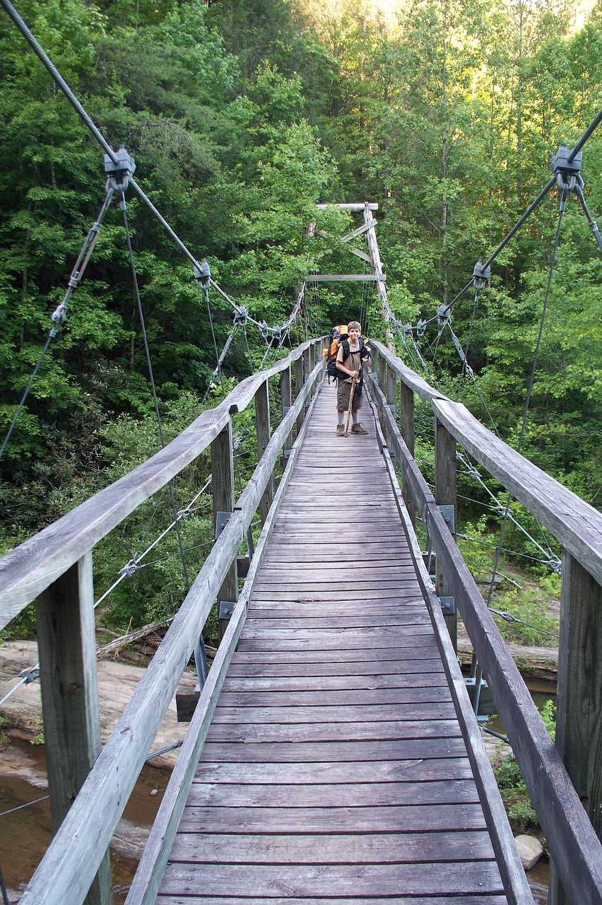 bridge climbing adventure free photo