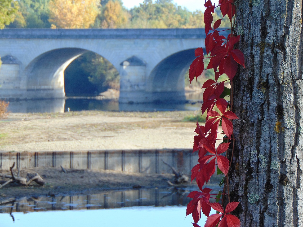 bridge red water free photo