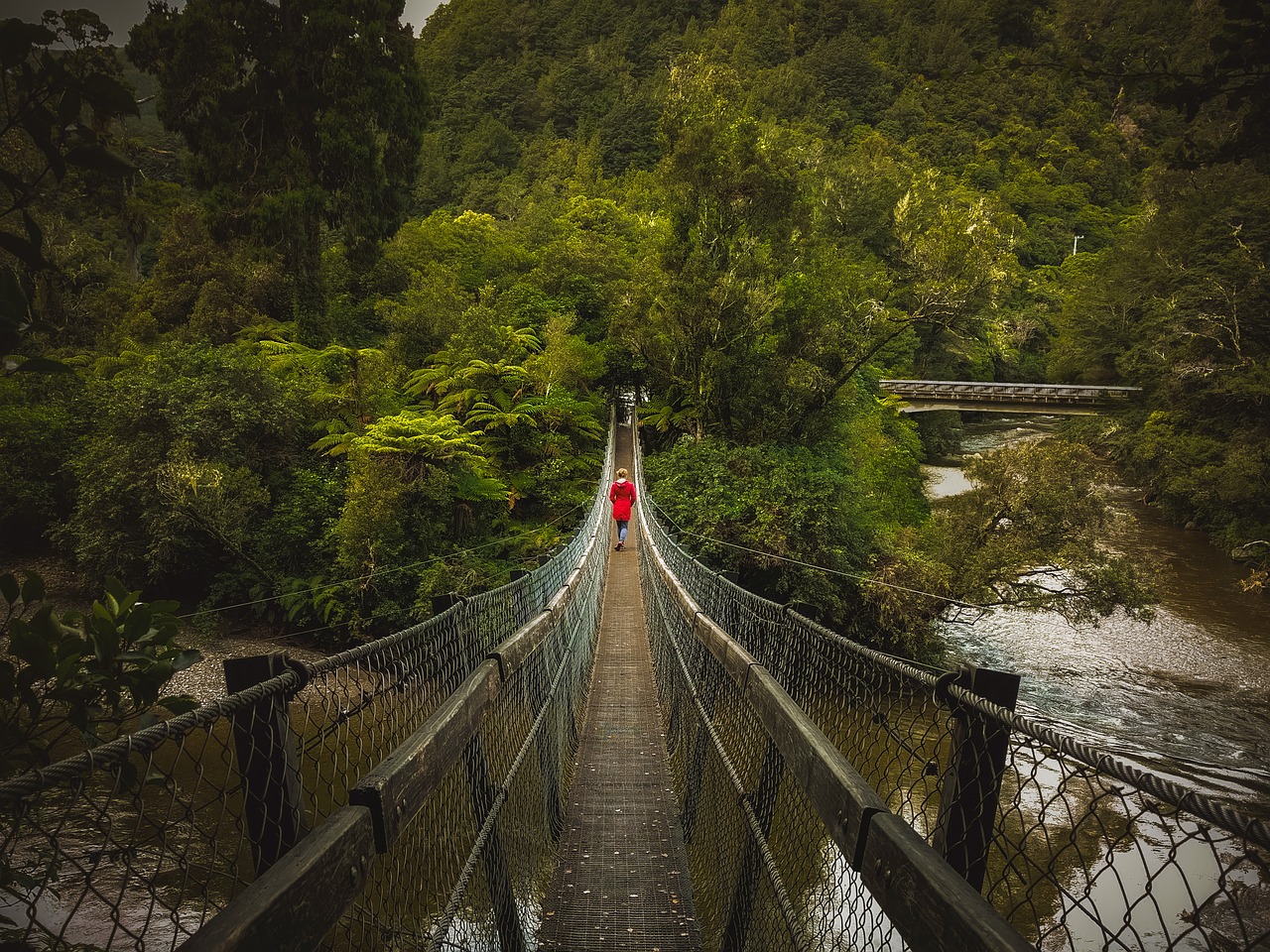 bridge swing bridge person free photo