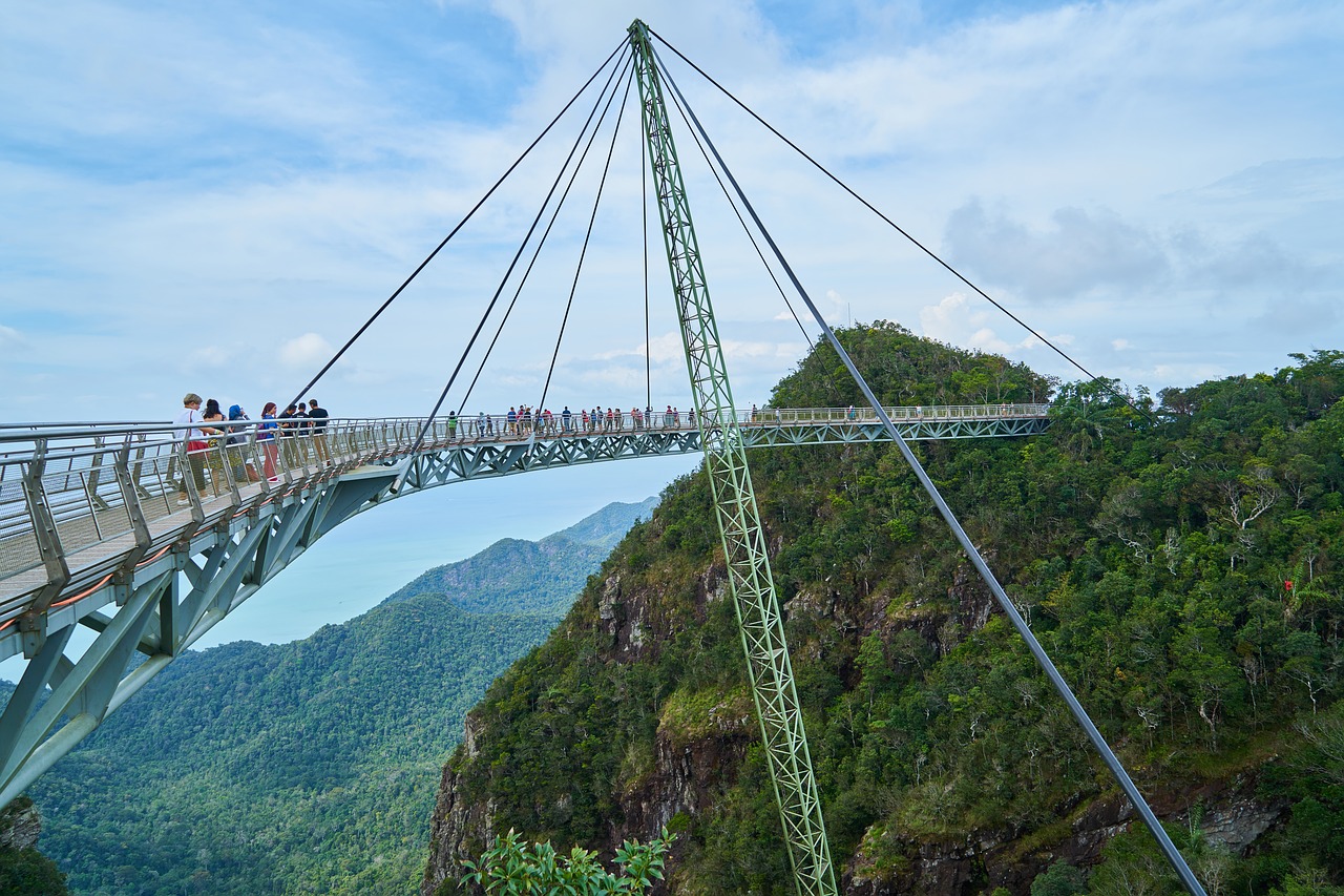 bridge the suspension bridge high free photo