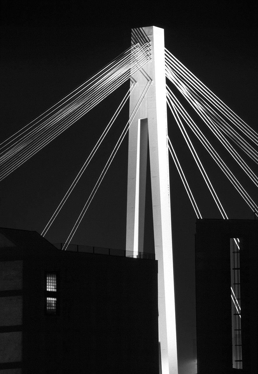 bridge night lighting free photo