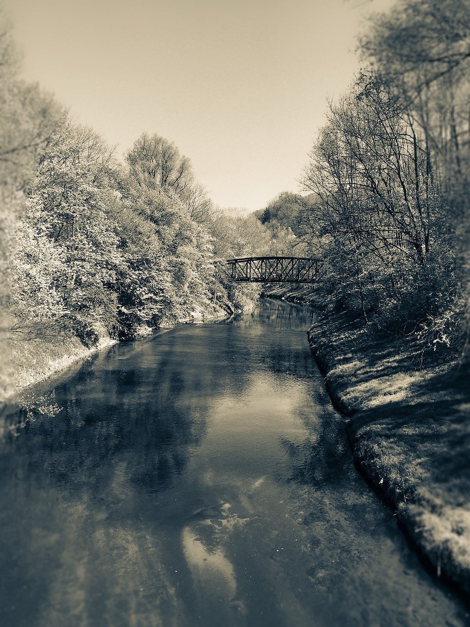 bridge water landscape free photo