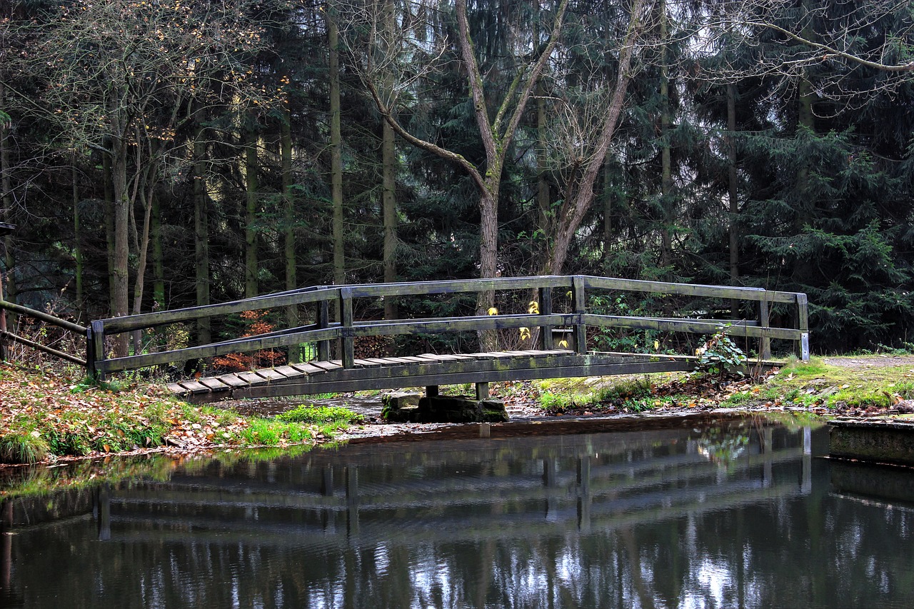 bridge water mirroring free photo