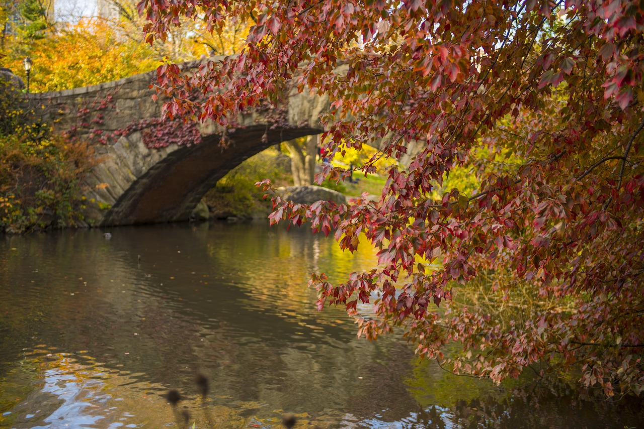 bridge nyc river free photo