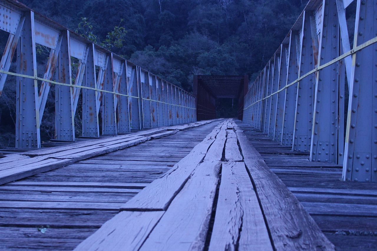 bridge rio nature free photo