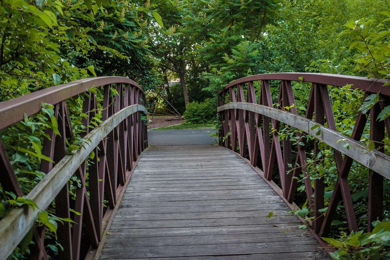 bridge nature park free photo