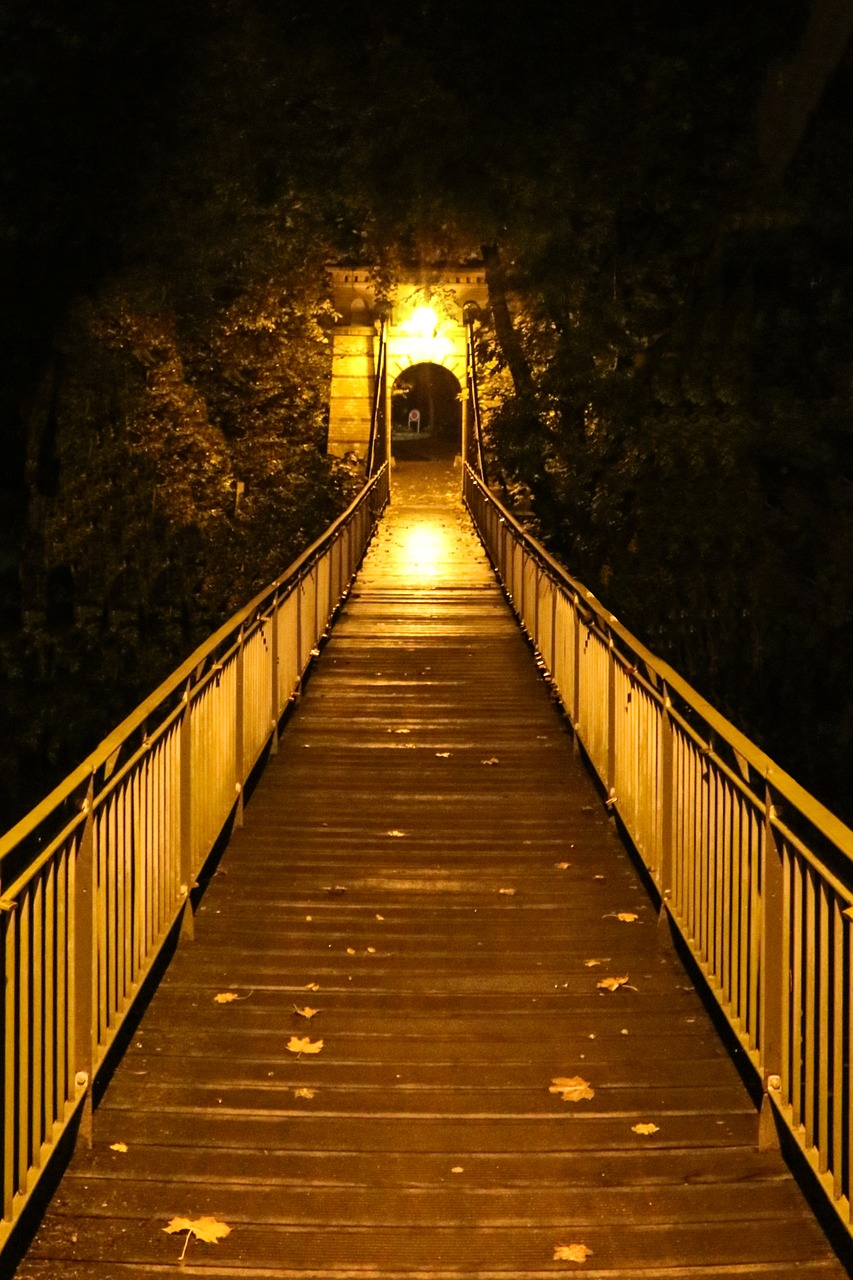 bridge night light free photo