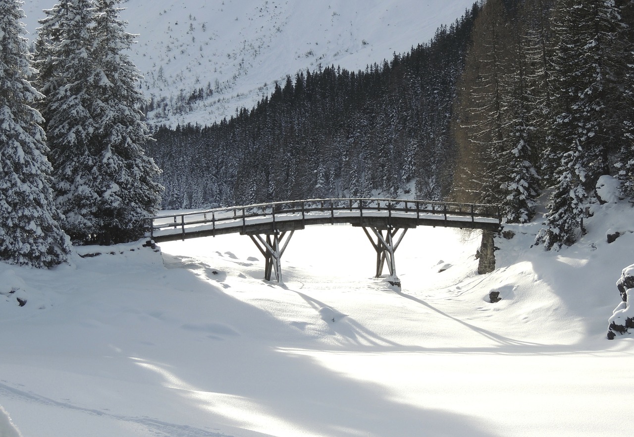 bridge winter snow free photo