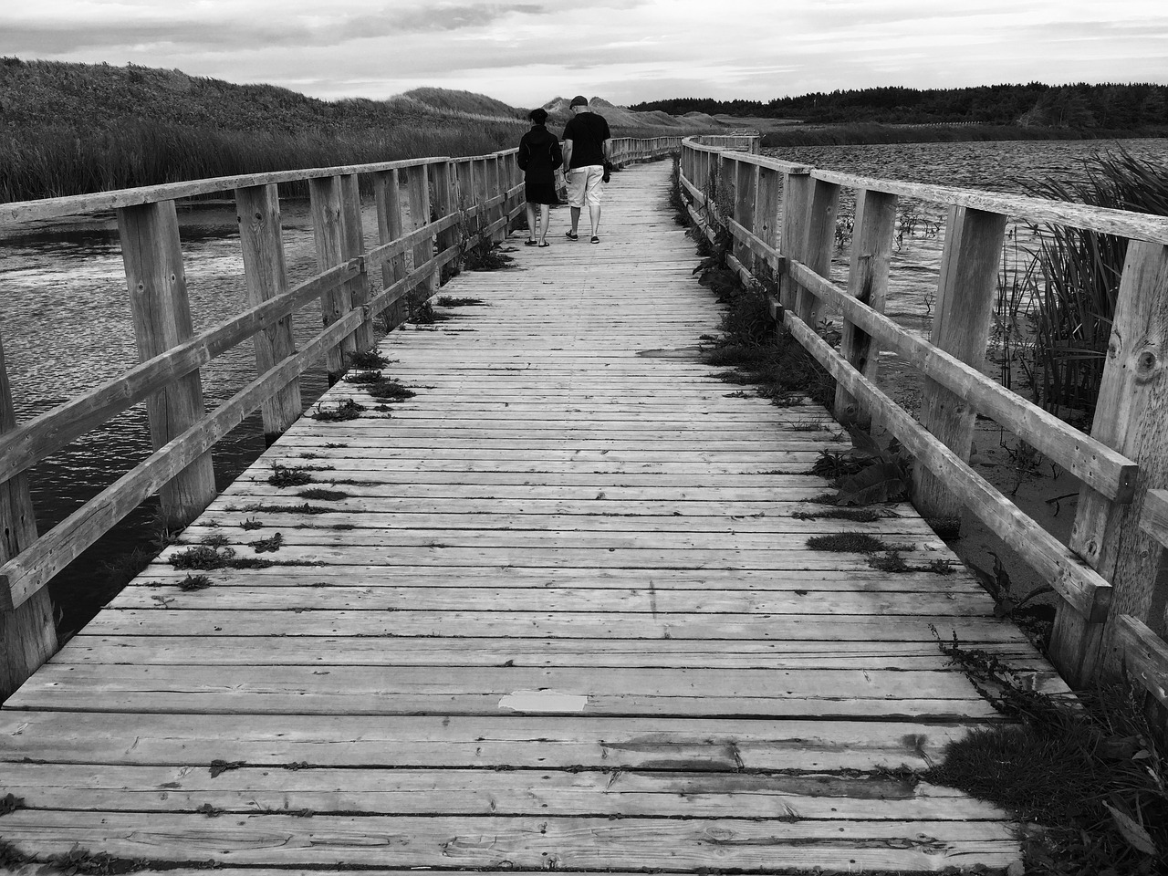 bridge black and white bridge boardwalk free photo