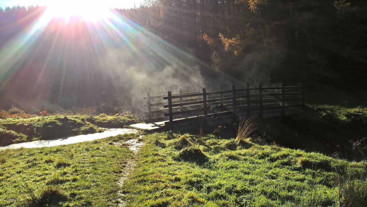 bridge sun light free photo