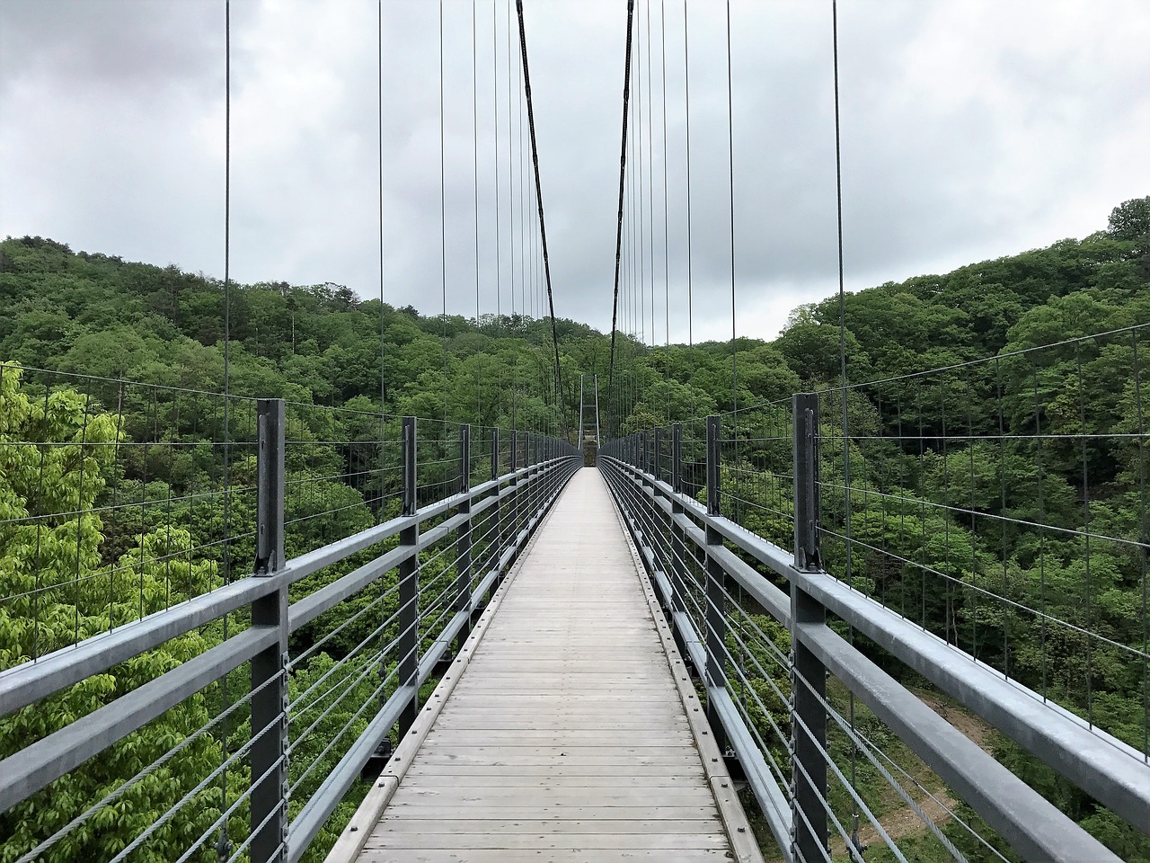 bridge woods sky free photo