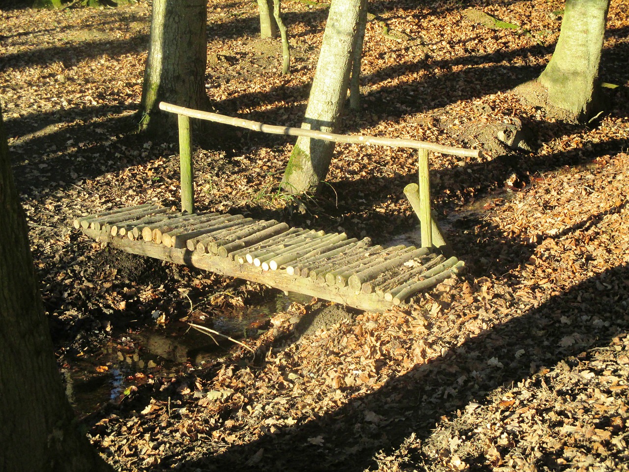 bridge forest wooden bridge free photo