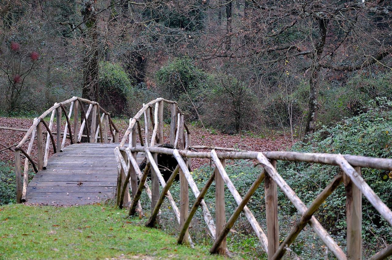 bridge ponte di legno forest free photo