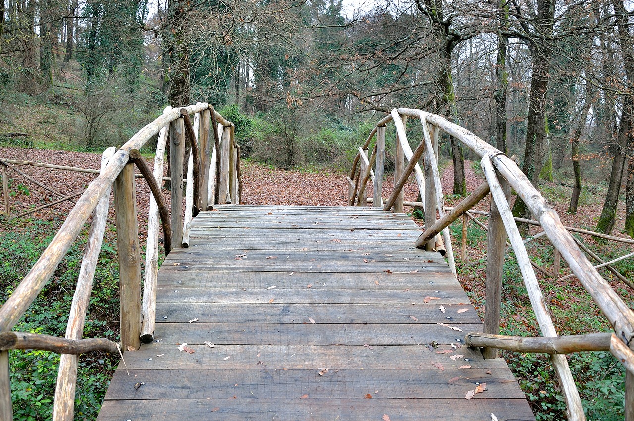bridge ponte di legno forest free photo