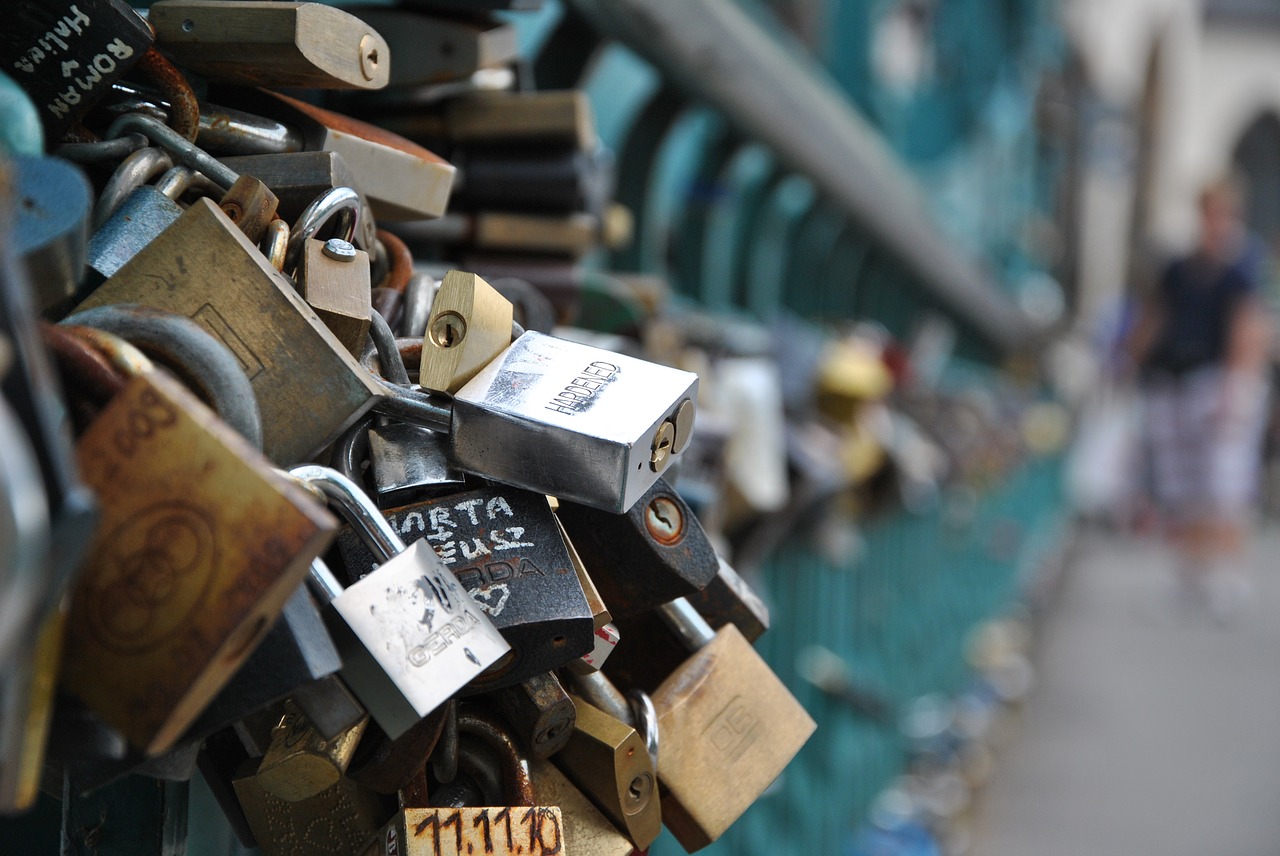 bridge padlocks bridge lovers free photo