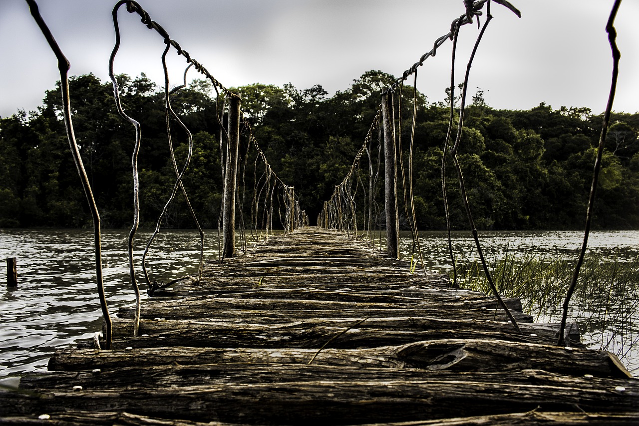 bridge rio path free photo