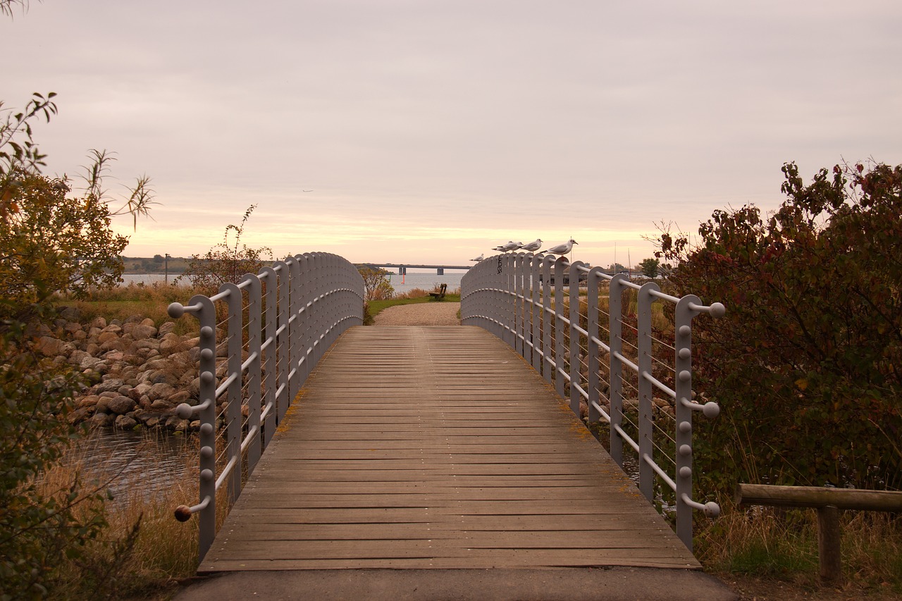 bridge fench autumn free photo