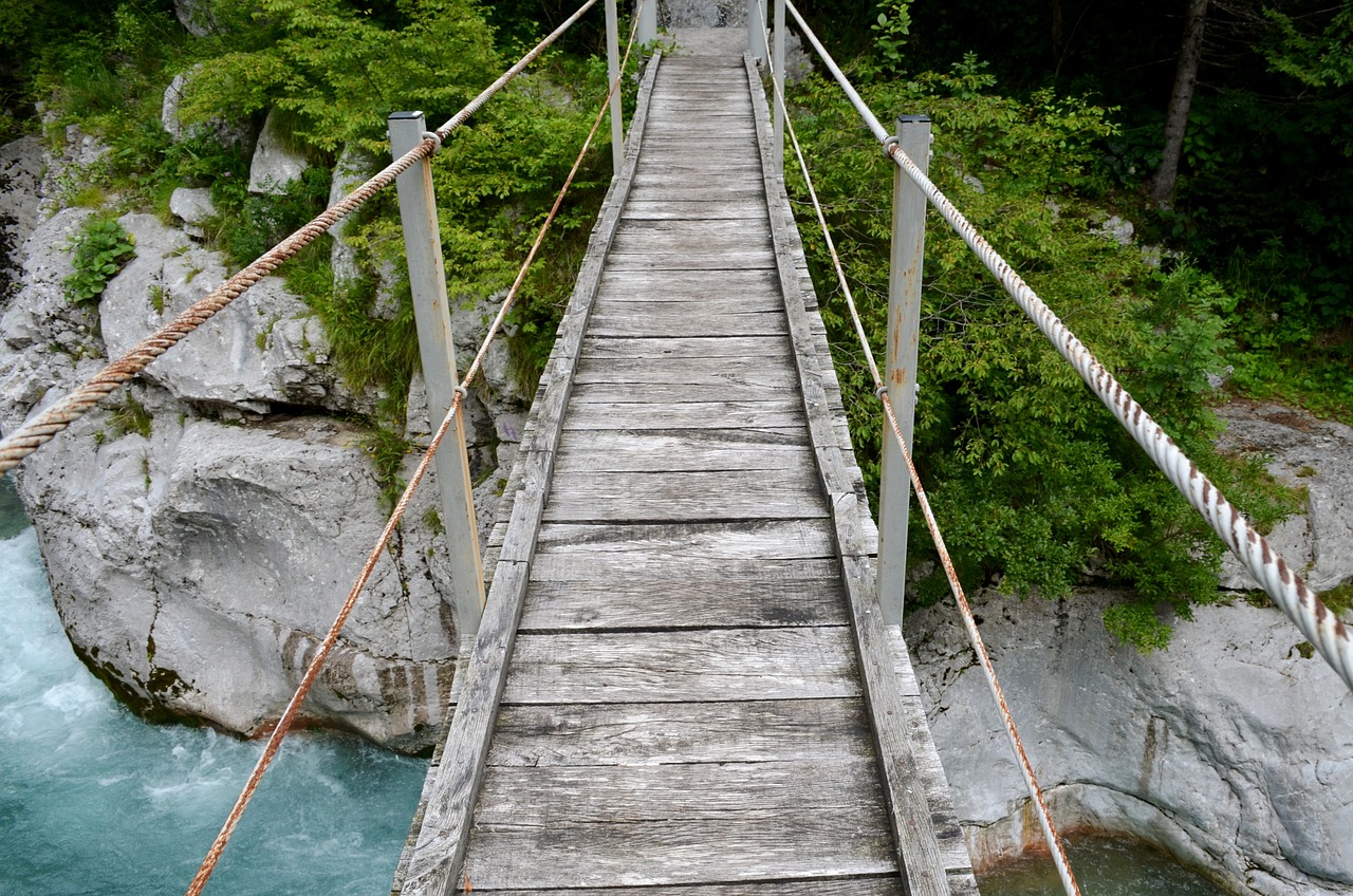 bridge river nature free photo