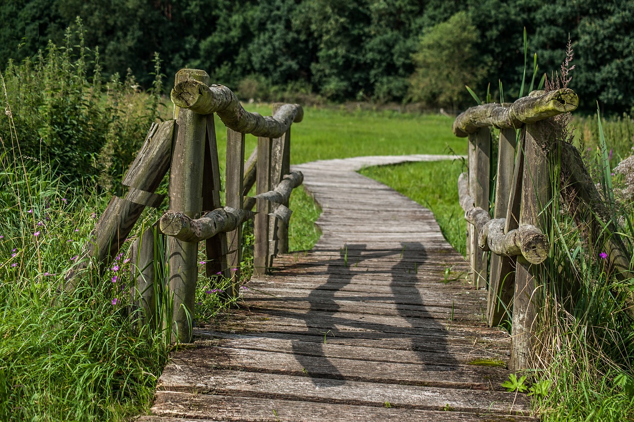 bridge wood meadow free photo