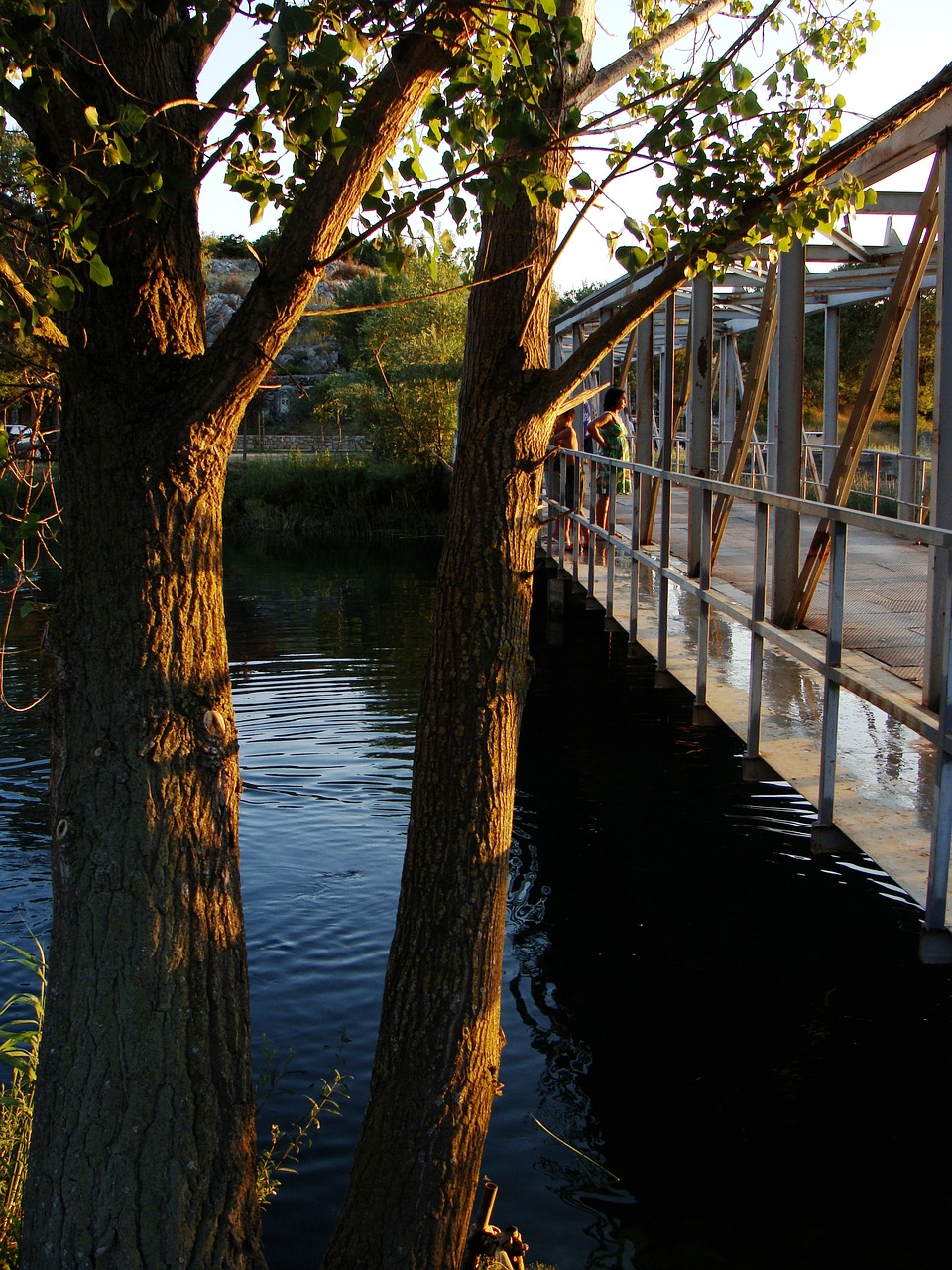 bridge iron steel free photo